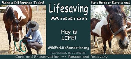 WFLF Lifesaving Mission - Hay is Life